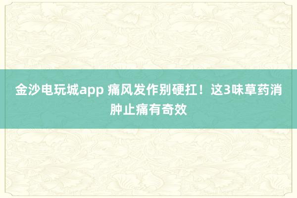 金沙電玩城app 痛風發(fā)作別硬扛！這3味草藥消腫止痛有奇效