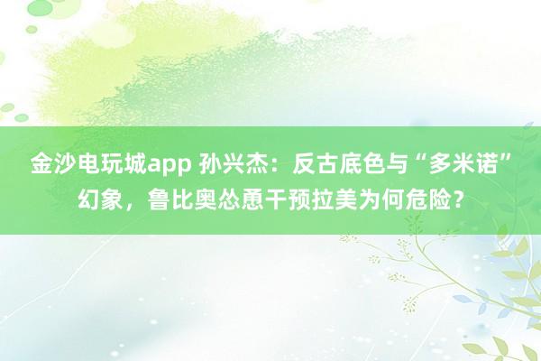 金沙電玩城app 孫興杰：反古底色與“多米諾”幻象，魯比奧慫恿干預拉美為何危險？