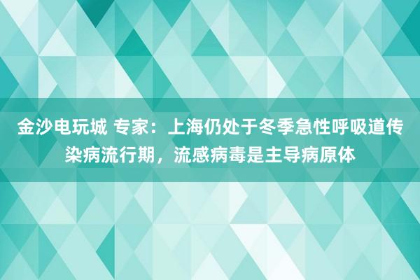 金沙電玩城 專家：上海仍處于冬季急性呼吸道傳染病流行期，流感病毒是主導(dǎo)病原體