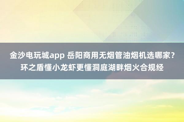 金沙電玩城app 岳陽商用無煙管油煙機選哪家？環之盾懂小龍蝦更懂洞庭湖畔煙火合規經