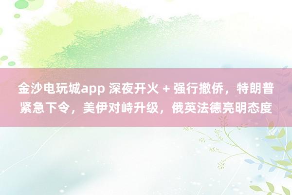金沙電玩城app 深夜開火 + 強行撤僑，特朗普緊急下令，美伊對峙升級，俄英法德亮明態度