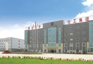河北東華化工總公司