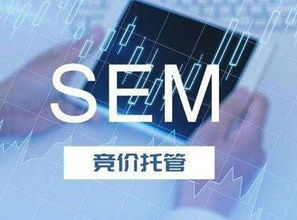 SEM競價托管服務 技術推廣的新引擎